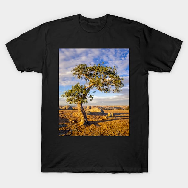 Bent and Alone T-Shirt by johno60